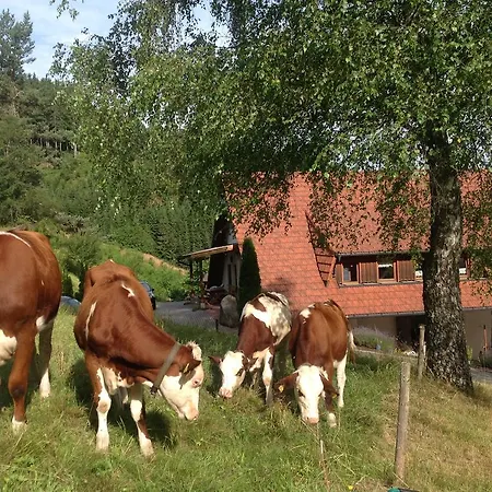Holzbildhauerei Kammerer * Triberg im Schwarzwald