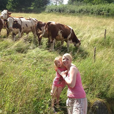Holzbildhauerei Kammerer * Triberg im Schwarzwald
